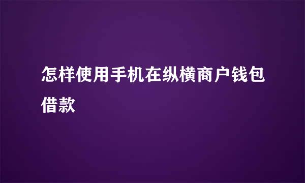 怎样使用手机在纵横商户钱包借款
