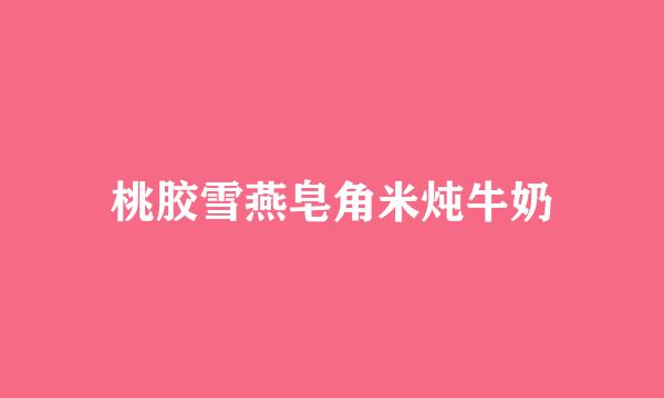 桃胶雪燕皂角米炖牛奶