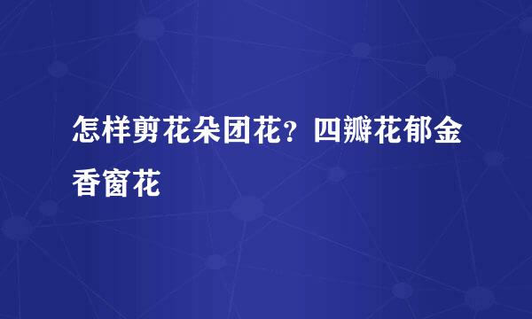 怎样剪花朵团花？四瓣花郁金香窗花