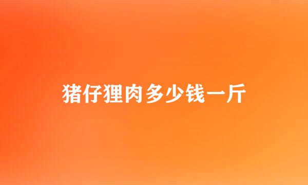 猪仔狸肉多少钱一斤