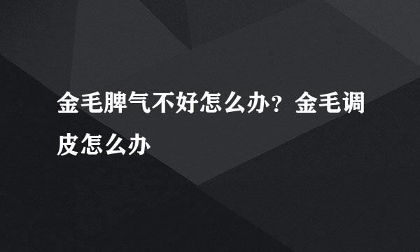 金毛脾气不好怎么办？金毛调皮怎么办
