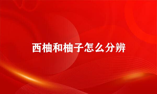 西柚和柚子怎么分辨