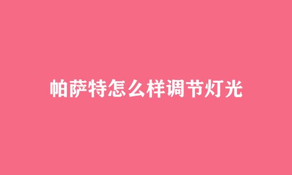帕萨特怎么样调节灯光