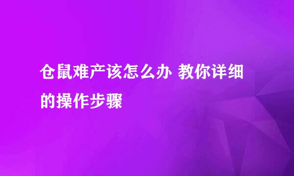 仓鼠难产该怎么办 教你详细的操作步骤