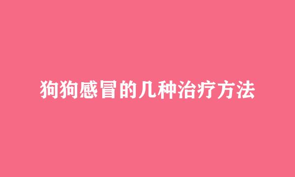 狗狗感冒的几种治疗方法