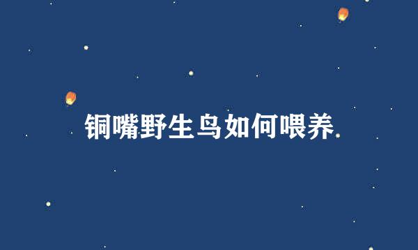 铜嘴野生鸟如何喂养
