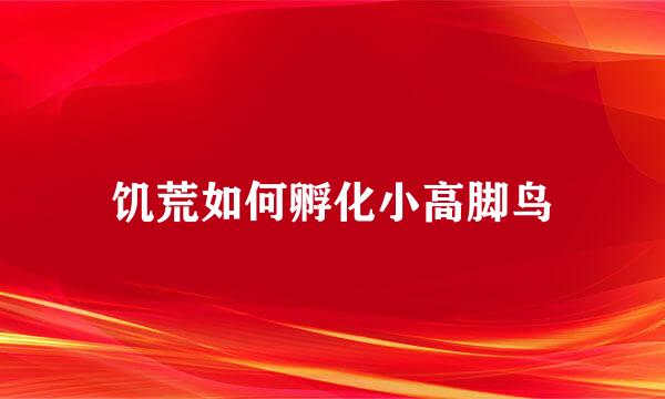 饥荒如何孵化小高脚鸟
