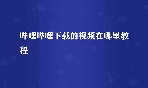 哔哩哔哩下载的视频在哪里教程
