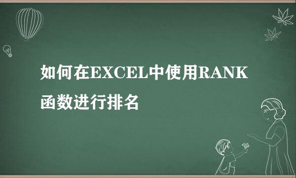 如何在EXCEL中使用RANK函数进行排名