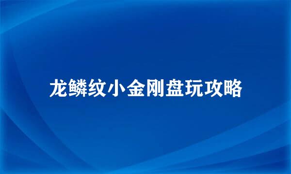 龙鳞纹小金刚盘玩攻略