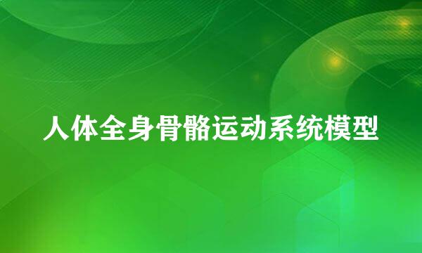 人体全身骨骼运动系统模型