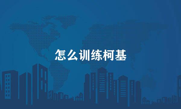 怎么训练柯基