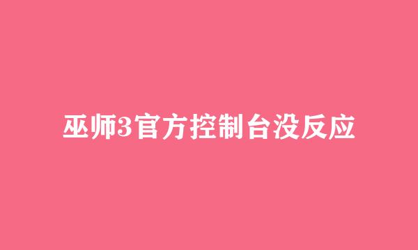 巫师3官方控制台没反应