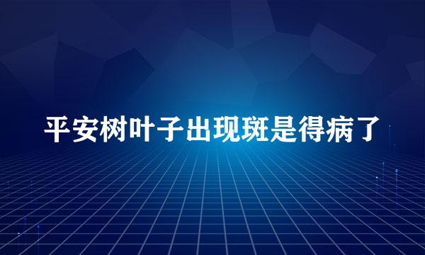 平安树叶子出现斑是得病了