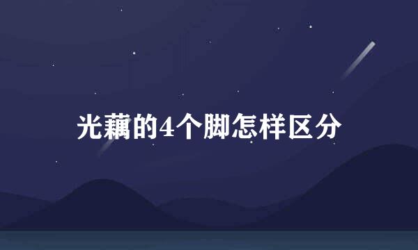 光藕的4个脚怎样区分