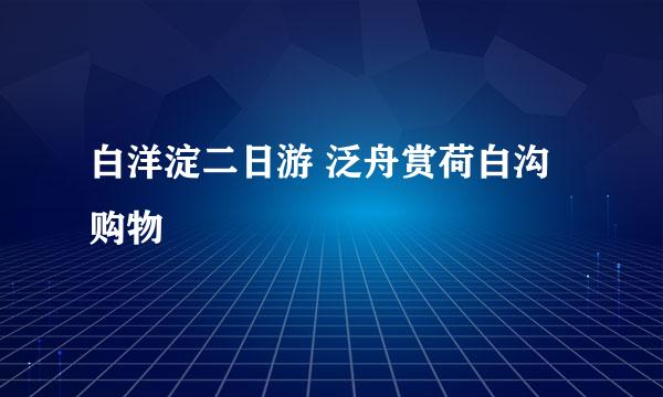 白洋淀二日游 泛舟赏荷白沟购物