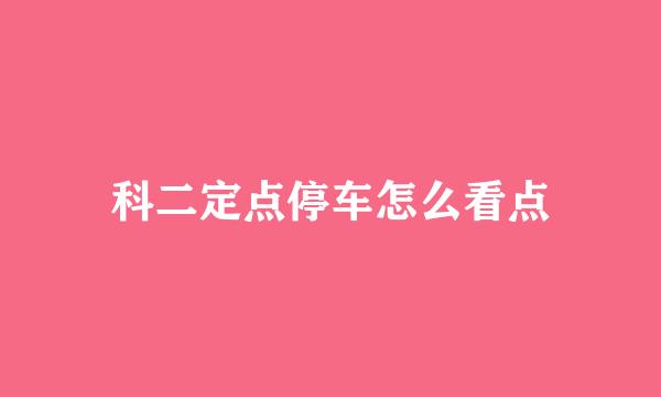 科二定点停车怎么看点