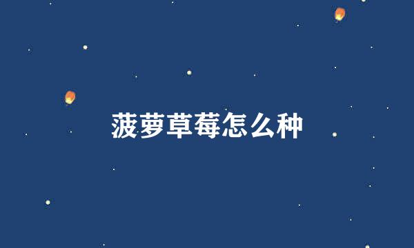 菠萝草莓怎么种