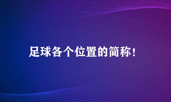 足球各个位置的简称!