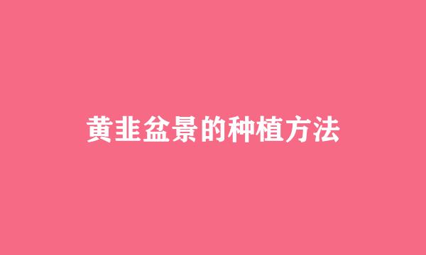 黄韭盆景的种植方法