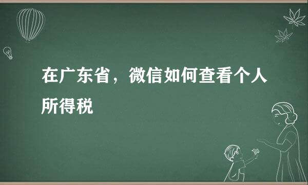 在广东省，微信如何查看个人所得税