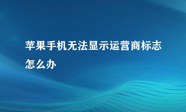 苹果手机无法显示运营商标志怎么办