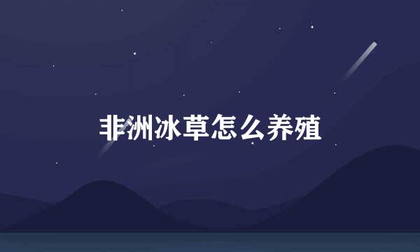 非洲冰草怎么养殖