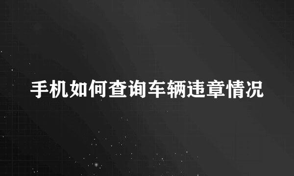 手机如何查询车辆违章情况