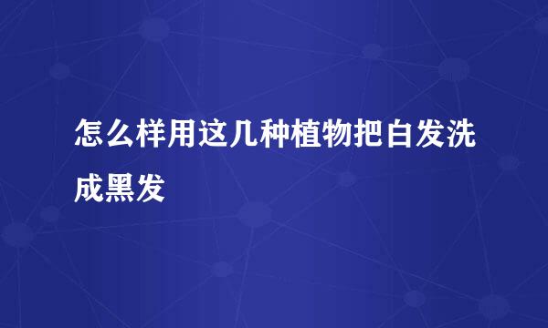 怎么样用这几种植物把白发洗成黑发