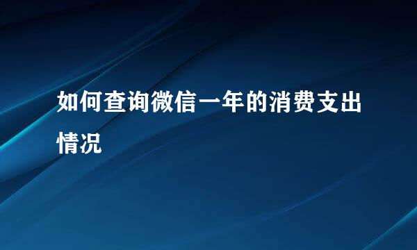 如何查询微信一年的消费支出情况