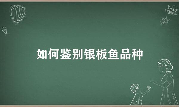 如何鉴别银板鱼品种