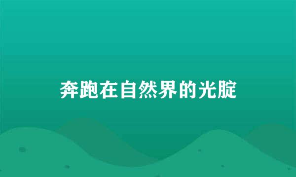 奔跑在自然界的光腚