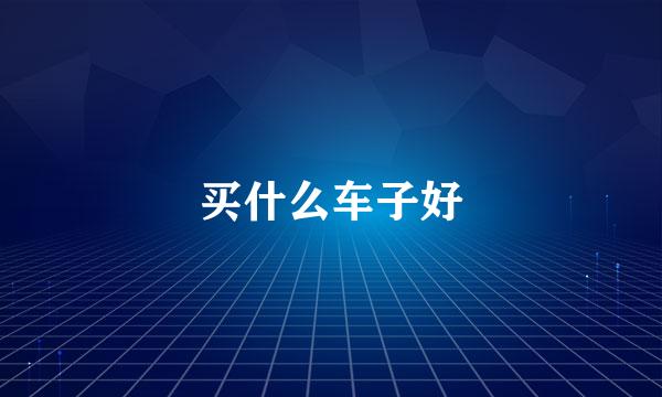 买什么车子好