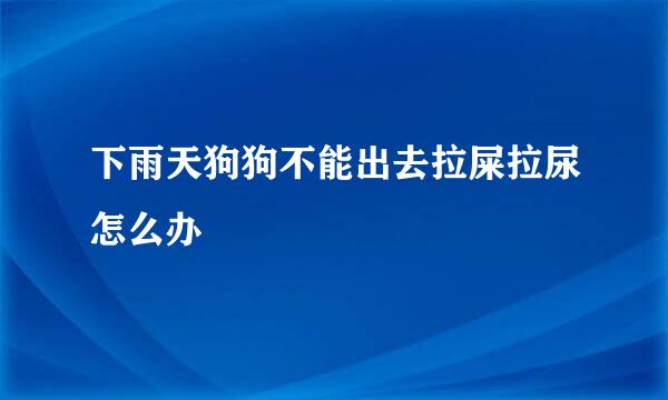 下雨天狗狗不能出去拉屎拉尿怎么办