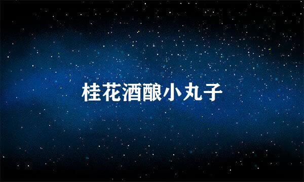 桂花酒酿小丸子
