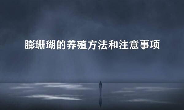 膨珊瑚的养殖方法和注意事项