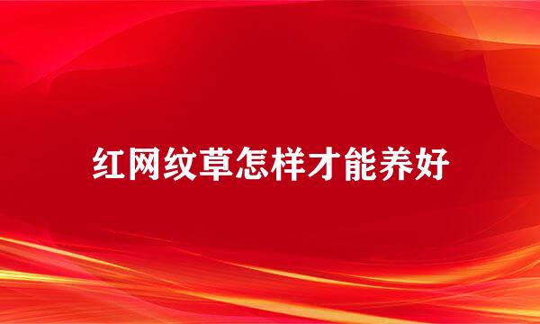 红网纹草怎样才能养好
