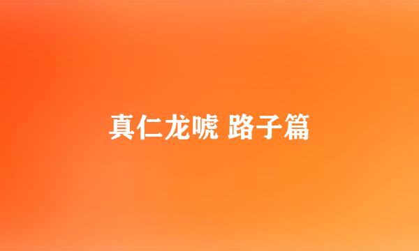 真仁龙唬 路子篇
