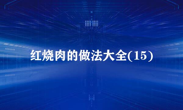 红烧肉的做法大全(15)