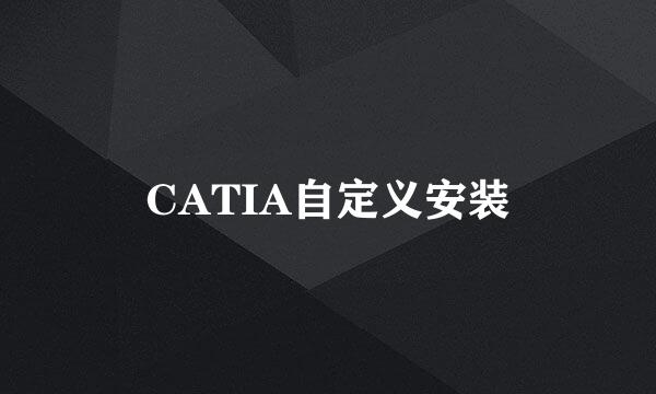 CATIA自定义安装