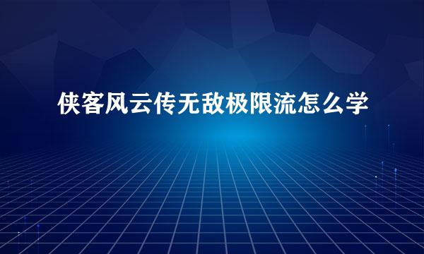 侠客风云传无敌极限流怎么学