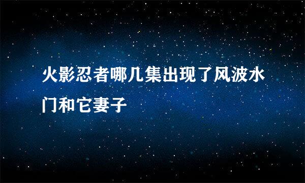 火影忍者哪几集出现了风波水门和它妻子