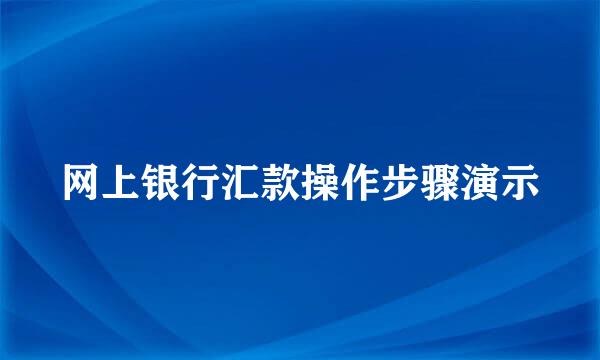 网上银行汇款操作步骤演示