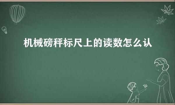 机械磅秤标尺上的读数怎么认