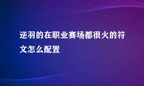 逆羽的在职业赛场都很火的符文怎么配置