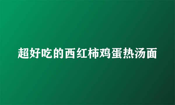 超好吃的西红柿鸡蛋热汤面
