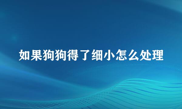 如果狗狗得了细小怎么处理
