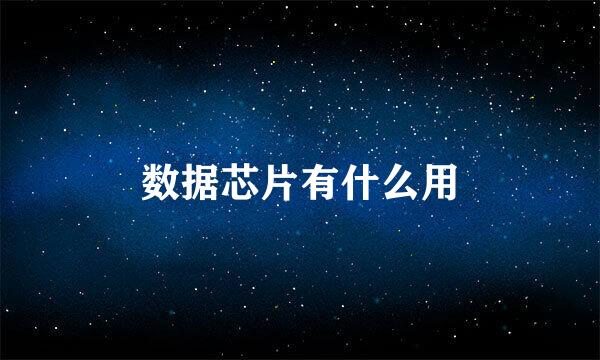 数据芯片有什么用