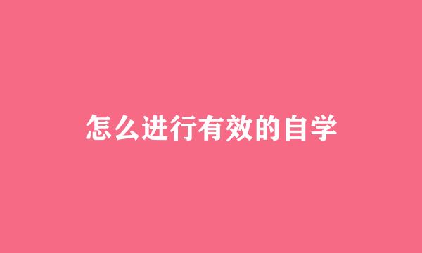 怎么进行有效的自学
