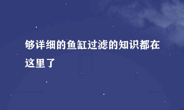 够详细的鱼缸过滤的知识都在这里了